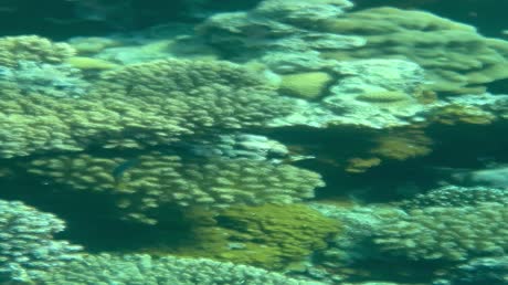 видео из отзыва ID 2715779