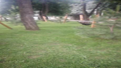 видео из отзыва ID 2716036