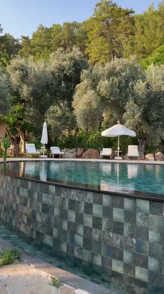 видео из отзыва ID 2716489