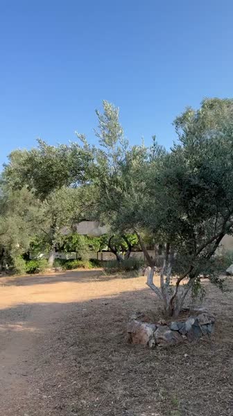 видео из отзыва ID 2716489