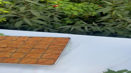 Hotel videos