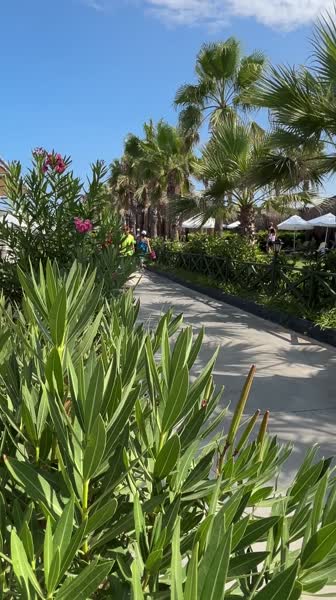 видео из отзыва ID 2717412