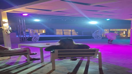 Hotel videos Seven Seas Jolie Bay 5*