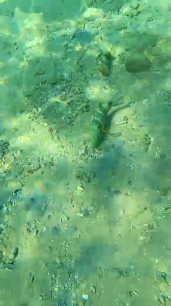 видео из отзыва ID 2715367