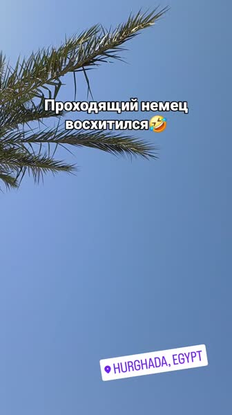 видео из отзыва ID 2710216