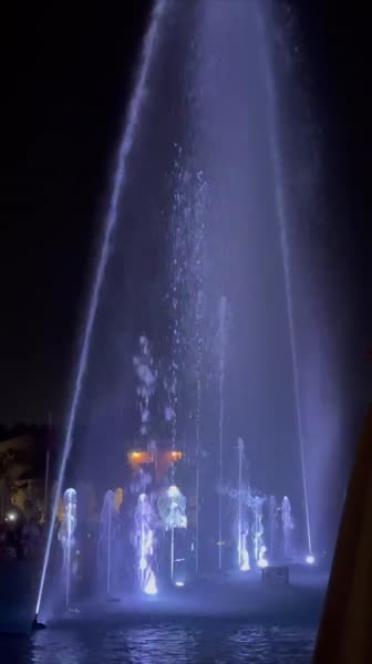 видео из отзыва ID 2718213