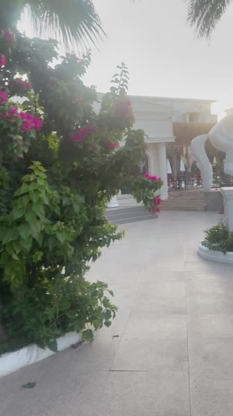 видео из отзыва ID 2719326