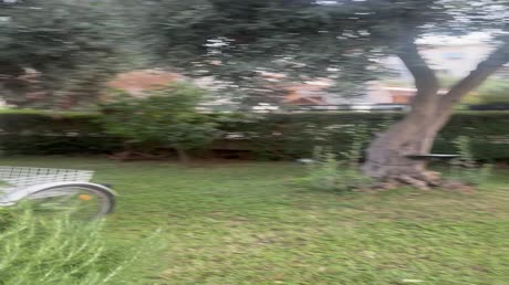 видео из отзыва ID 2719326