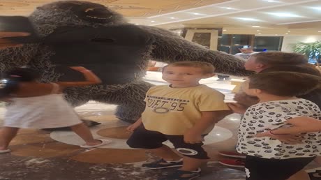 видео из отзыва ID 2719438