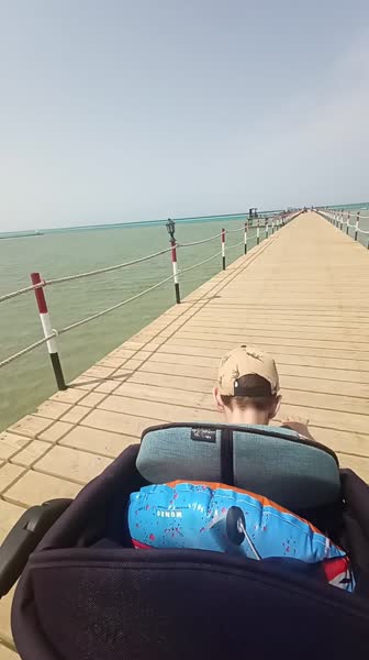 видео из отзыва ID 2719561