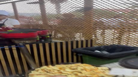 видео из отзыва ID 2721474