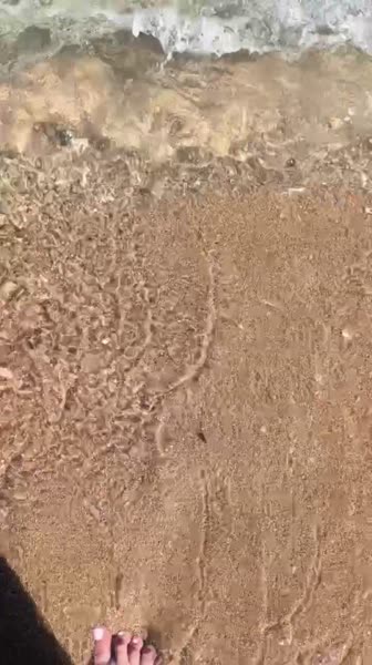 видео из отзыва ID 2723588