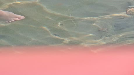 видео из отзыва ID 2724461