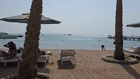 Hotel videos Le Pacha Resort 4*