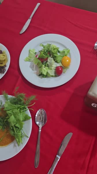 видео из отзыва ID 2725940