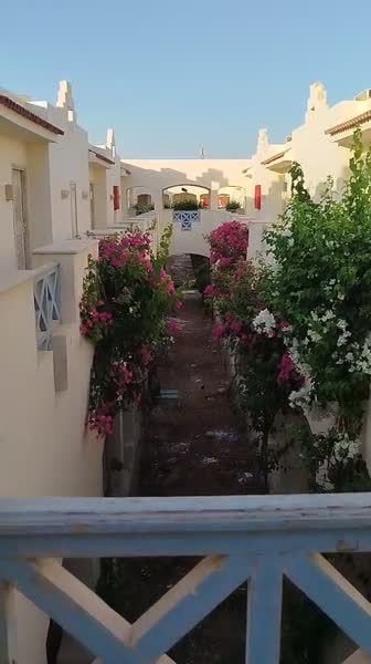 Hotel videos