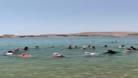 Hotel videos Albatros Sharm Resort - Sharm El Sheikh 4*