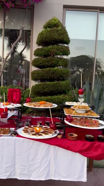Hotel videos Lucida Beach 5*