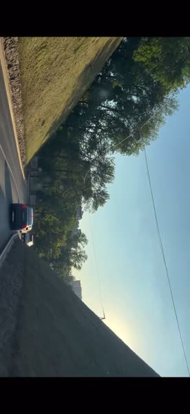 видео из отзыва ID 2727648