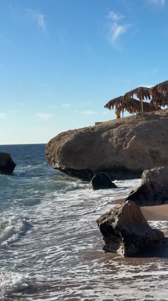 видео из отзыва ID 2727828