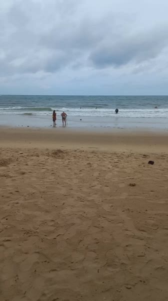 видео из отзыва ID 2728466
