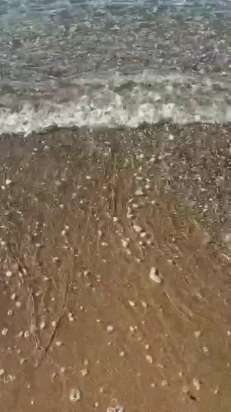 видео из отзыва ID 2729120