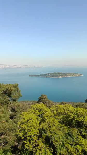 Hotel videos Ria Suites Hotel 4*