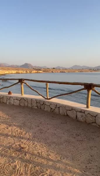 Видео из отеля Sharm Club Beach Resort 4*