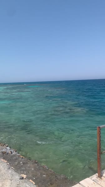 Hotel videos Sunny Days El Palacio Resort 4*