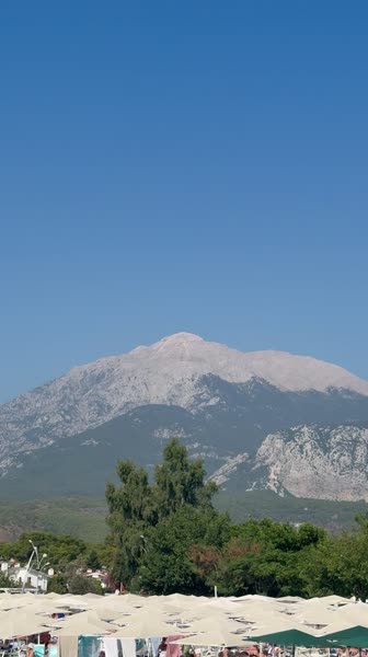 Видео из отеля Zena Resort 5*