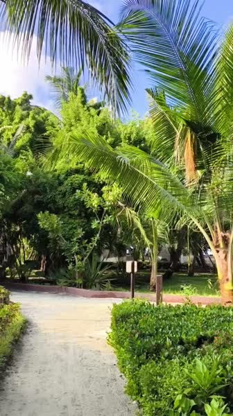 Hotel videos Ellaidhoo Maldives by Cinnamon 4*