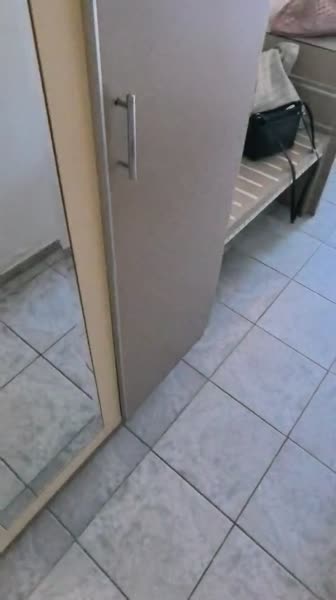 видео из отзыва ID 2731106