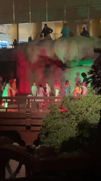 видео из отзыва ID 2731196