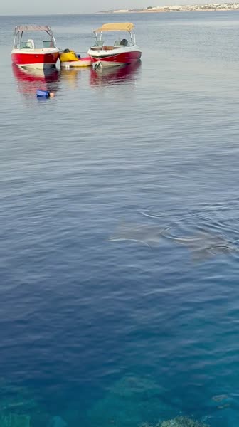 видео из отзыва ID 2731409