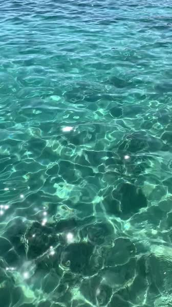 видео из отзыва ID 2731635