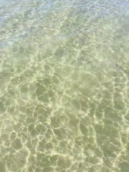 Hotel videos Side Alegria Hotel & Spa 5*