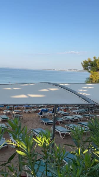 Hotel videos Armas Green Fugla 4*