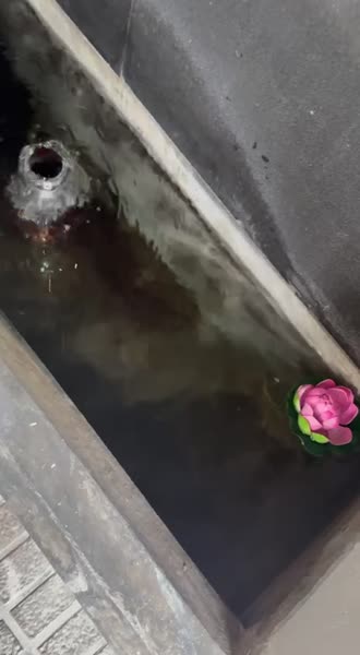 видео из отзыва ID 2732531