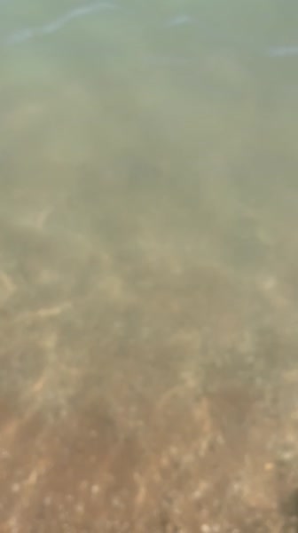 видео из отзыва ID 2733586