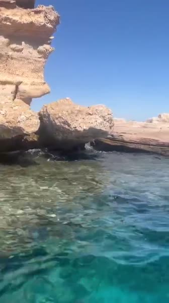 видео из отзыва ID 2733960
