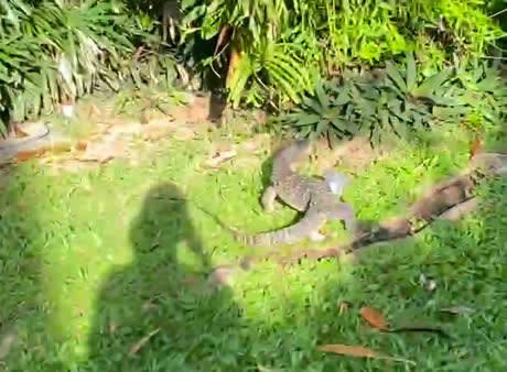 видео из отзыва ID 2734420