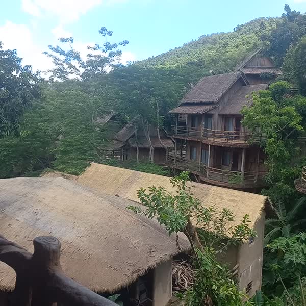 видео из отзыва ID 2735595