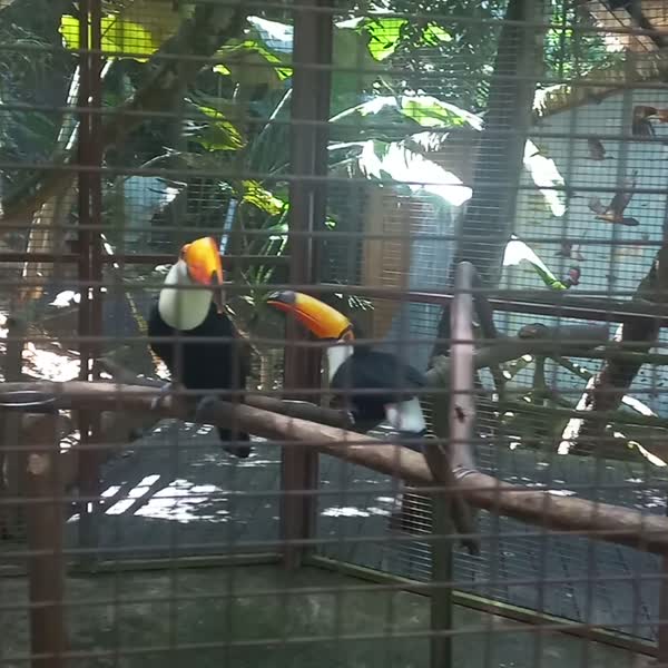 видео из отзыва ID 2735595