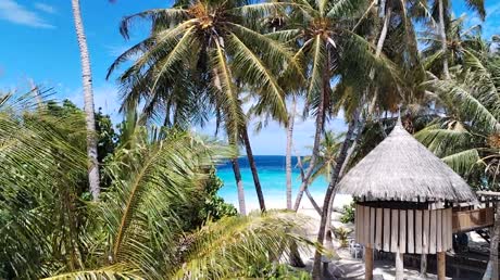 Hotel videos Dhonfulhafi Beach View & Spa 4*