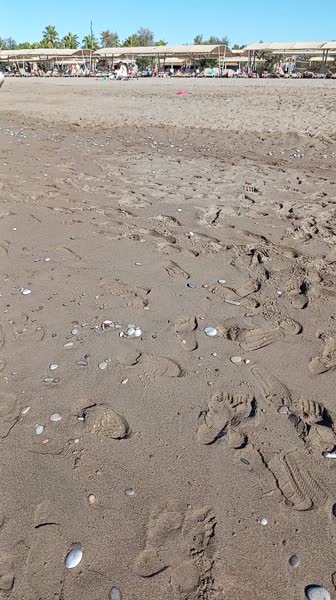 видео из отзыва ID 2735783