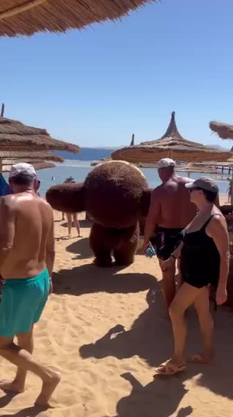 видео из отзыва ID 2732524