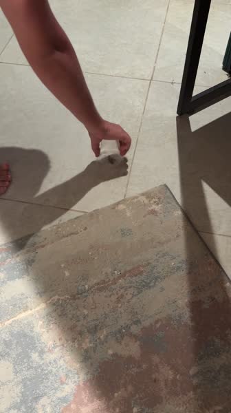 видео из отзыва ID 2736696