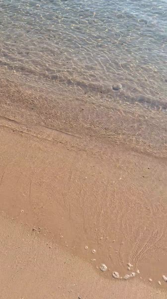 Видео из отеля Beach Albatros Resort - Hurghada 4*