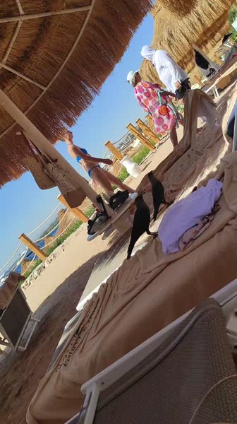 Видео из отеля SUNRISE Remal Resort 4*