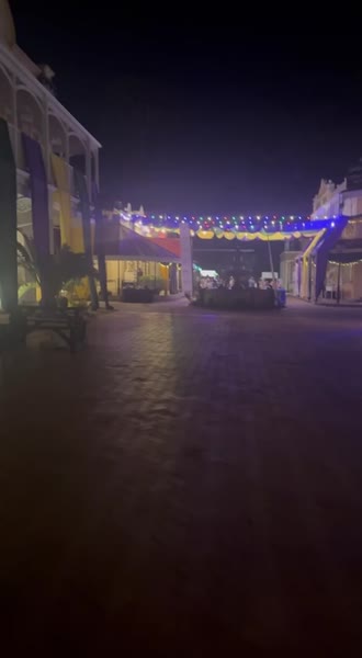 Hotel videos Gold Reef City 4*